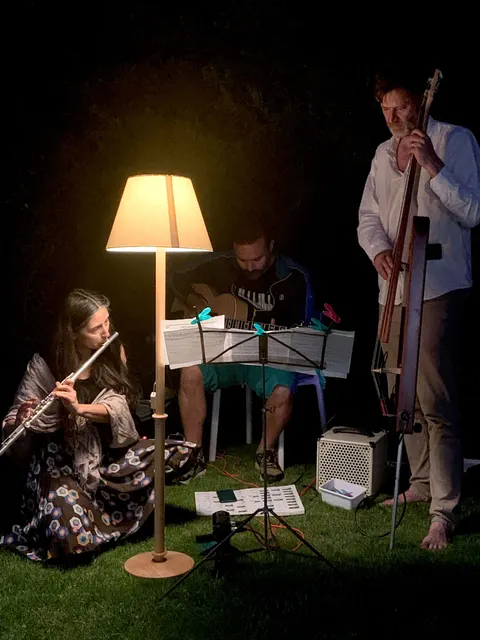 Selected Performances & Videos